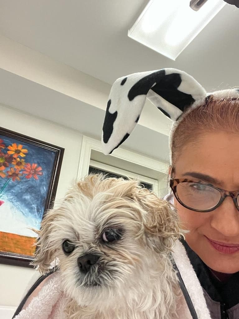 Soraya in cow-print bunny ears, smiling next to a shaggy Shih Tzu wrapped in a towel
